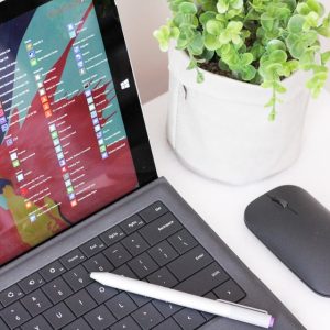 Microsoft surface with mouse on desk with potted plant
