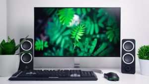 flat screen monitor with leaves on the screen. keyboard and mouse on desk