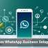AI Makes WhatsApp Business Setup Easier